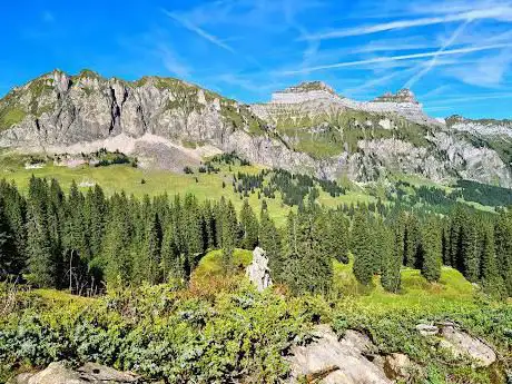 Photo de Urwaldspur BÃ¶dmerenwald