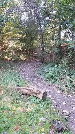 Speelbos Zellik