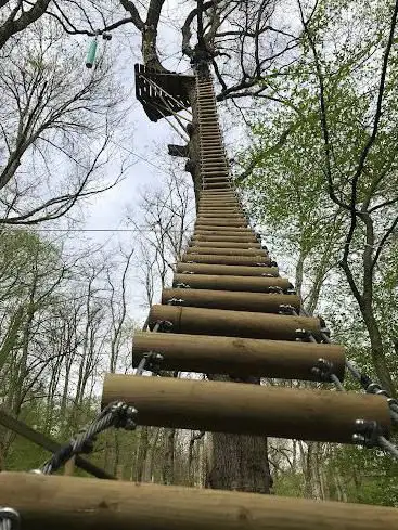 Photo de Yapluka Park, votre parc accrobranche à 30 minutes de Lyon