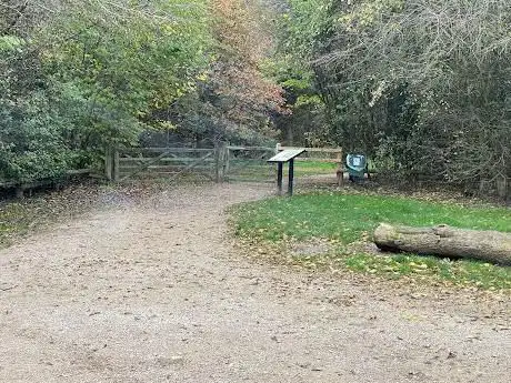 Photo de Wymondley Wood