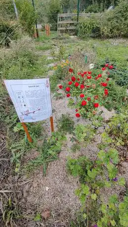 pédagogique Ermont Garden