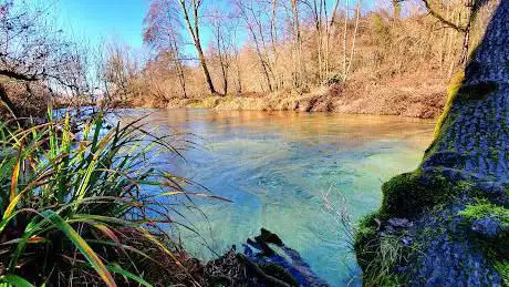 Photo de Nature Trail