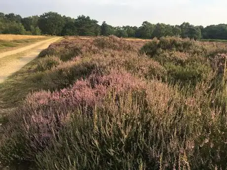 Photo de Kirkby Moor Nature Reserve