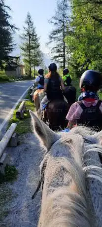 Photo de Cheval d'Aoste Mont Blanc