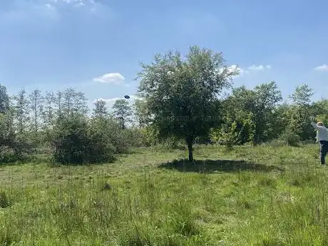 Disc Golf Borsbeek