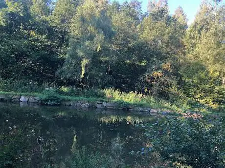 Schafbach Mühle Teich