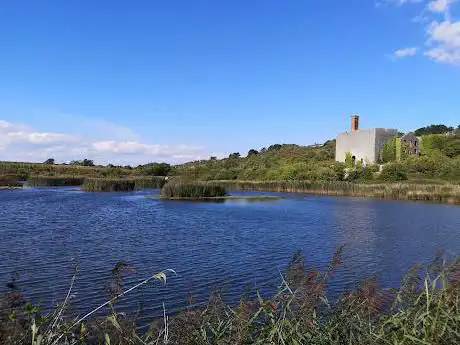 Aberthaw Nature Reserve