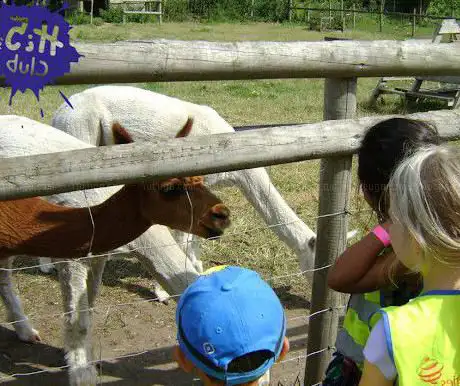 Hi 5's After-school & Holiday Club: Newport Isle of Wight