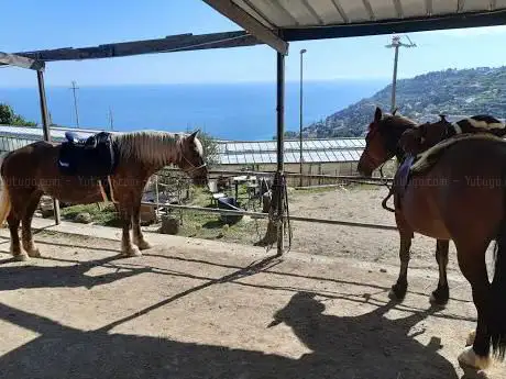 A.S.D Ranch del Sole