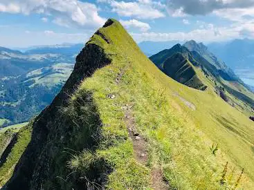 Allgäuwhoren