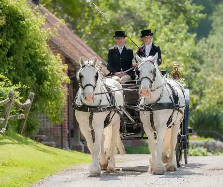 Photo de The Horse Drawn Carriage Company