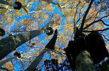 Photo de Ecopark Adventures La Castille
