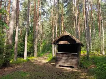 Islände