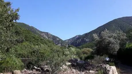 Passeggiata Sulla Banchina