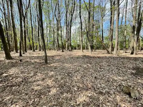 Natuurspeelplek Bunderbos