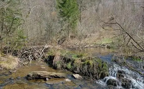 Le Chevral (Barrages de Castors)