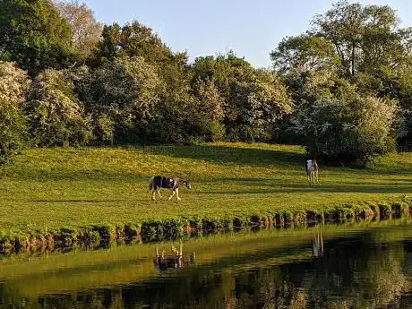 Photo de Loughborough Canal Walk