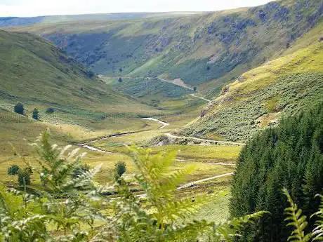National Trust - Abergwesyn Common