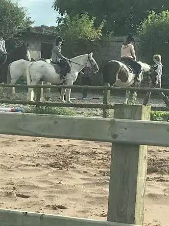 Sychdyn Riding Centre