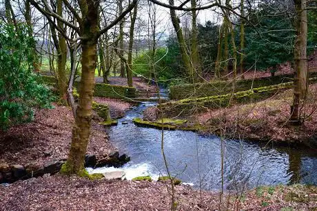 Cliviger Bottom Pond