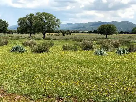 Photo de Centro Quintos De Mora