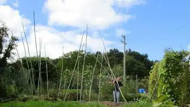 Weidenpavillon, Michas Garten am SchÃ¶nblick