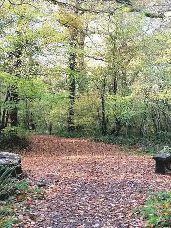 Photo de The Queen's Inclosure