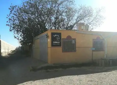 Photo de ALBERO CENTRO ECUESTRE