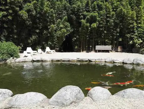 Photo de The Water Gardens