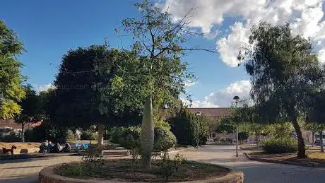 Photo de Polideportivo Park