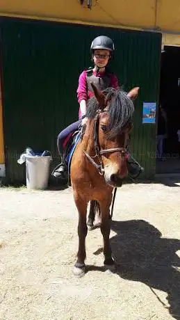 Photo de Hipica HARMONIA
