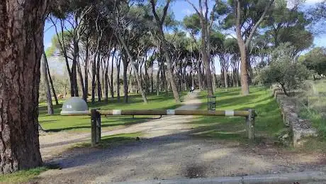 Photo de Pinar de las Siete Hermanas