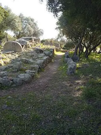 Tomba dei giganti Casteddu
