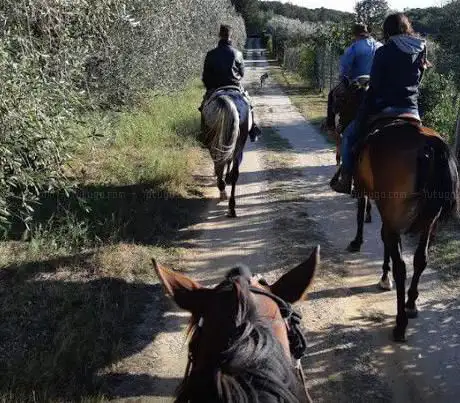 Photo de Centro Ippico Pegaso