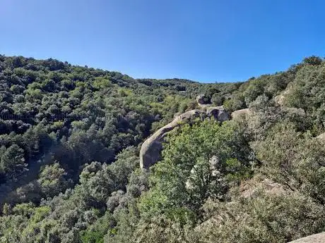 Photo de Cova de la Bora Fosca