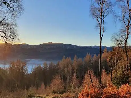 Photo de Allean Forest