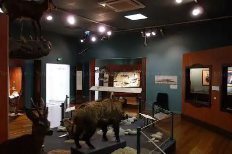 Photo de Muséum d'Histoire naturelle de Nice