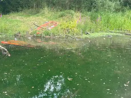 Photo de Beechwood Park
