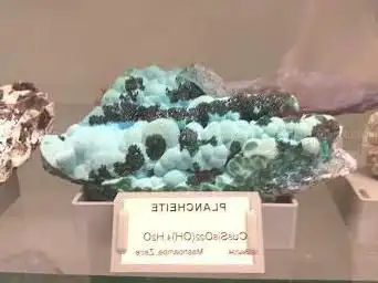 Museum of Natural History