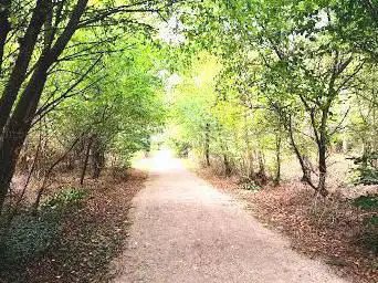 Photo de parcours santé du waldeck
