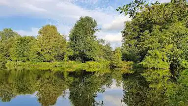 Fischweiher