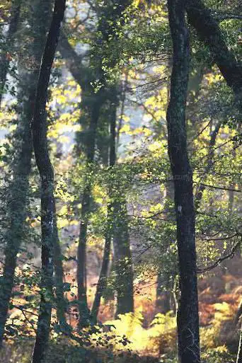 Photo de Centre de Biodiversité Jean Rostand