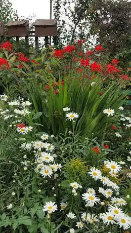 Photo de Trencherfield Gardens