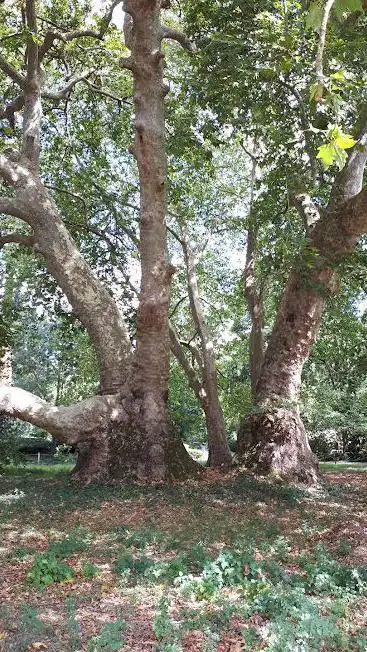 Photo de Château de la Guerche
