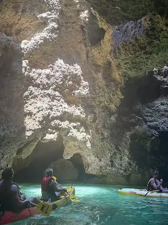 Kayak Tours