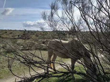 Photo de El hogar de bucefalo