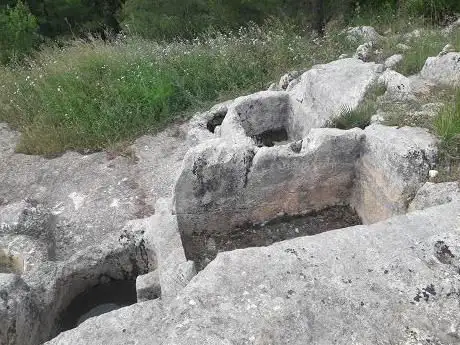 Photo de Bosco della Risinata
