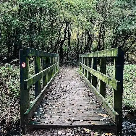 Photo de Wellyhole Park