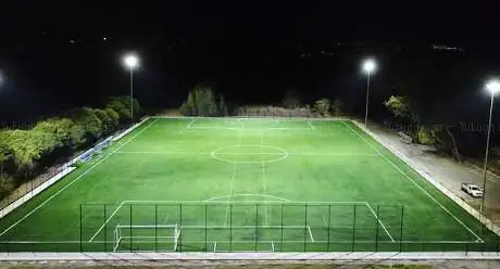 Soccer field 7