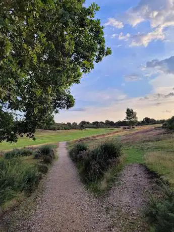 Rushmere Common